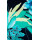 product color