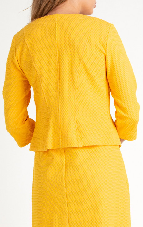 Спортно-елегантно сако от еластична трикотажна материя в цвят Mimosa [1]